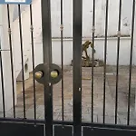 Bilocale A 50 Mt. Dalla 28 *