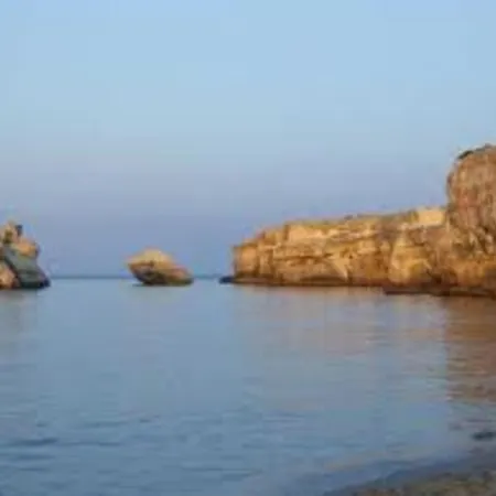 Bilocale A 50 Mt. Dalla 28